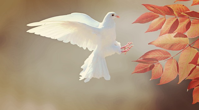 Start in den Herbst mit dem Wunsch nach Frieden für die Welt!
