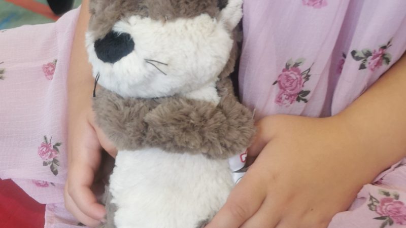 Einschulung der Erstklässler! Herzlich willkommen in der Otterklasse!